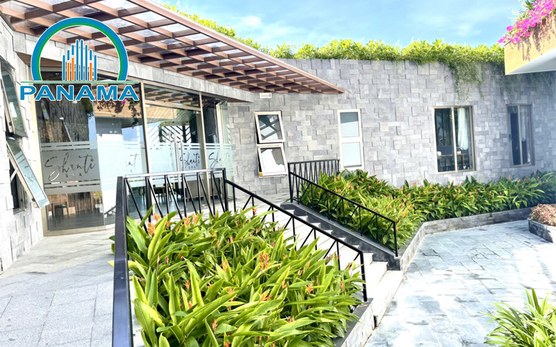 Dịch vụ thi công cây xanh