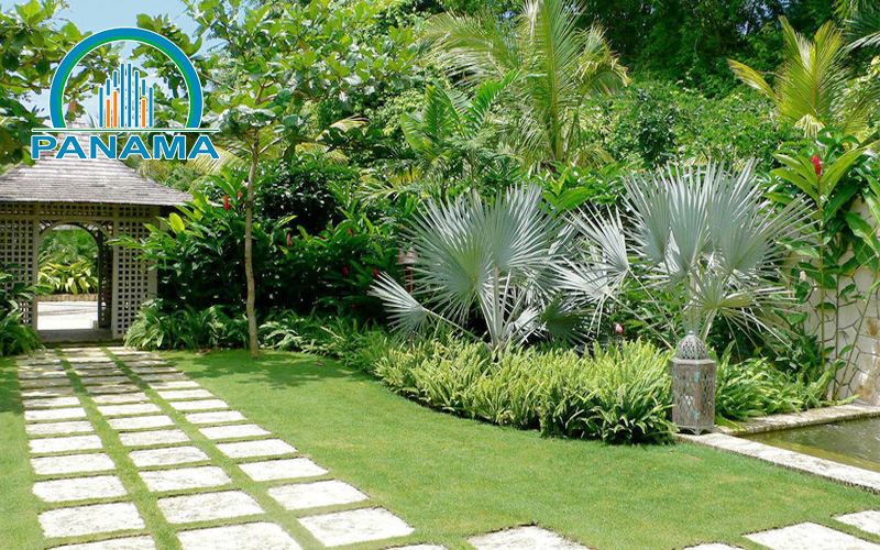 Khi lựa chọn dịch vụ trồng cây cảnh tại nhà Bình Dương, bạn nên lưu ý