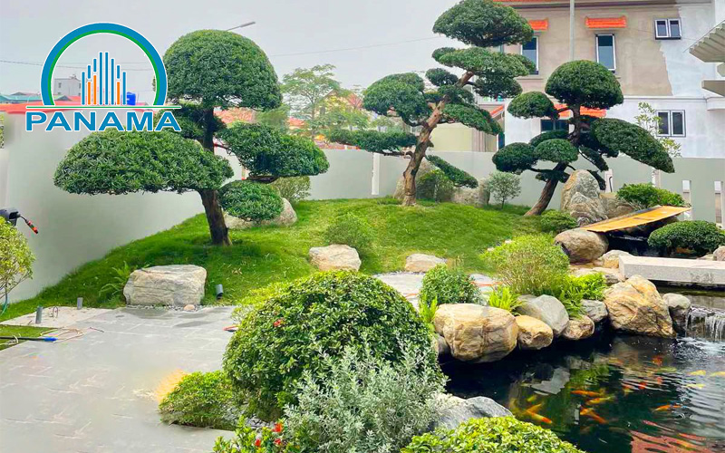 Lợi ích khi sử dụng dịch vụ trồng cây cảnh tại nhà